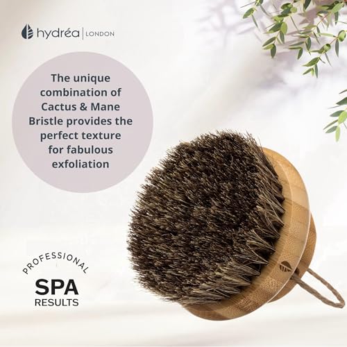 Hydr?a London Round Natural Body Brush with Mane/Cactus Bristle for Dry Brushing to Exfoliate, Remove Dead Skin, Cellulite and Aid Lymphatic Drainage.