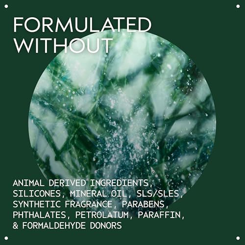 Aveda Botanical Kinetics Exfoliant | Liquid Exfoliant for All Skin Types | Smoothes, Clears, Refines Skin, 5 Fl Oz