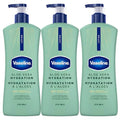 Vaseline Intensive Care Body Lotion for Dry Skin Soothing Hydration Lotion Made with Ultra-Hydrating Lipids + 1% Aloe Vera Extract to Refresh Dehydrated Skin 20.3 oz, Pack of 3 (packaging May Vary)