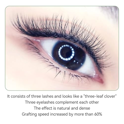 COAST GIRL YY/3D/4D/5D/6D W Shape Eyelash Extensions Premade Volume Fans 0.07mm C/D Curl 8-15mm W Lashes Volume Fans Premade False Eyelashes (3D W 0.07 D, 8-15mm Mix)