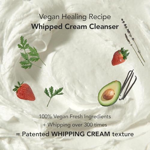 Top Korean Vegan Botanic Biome Toner