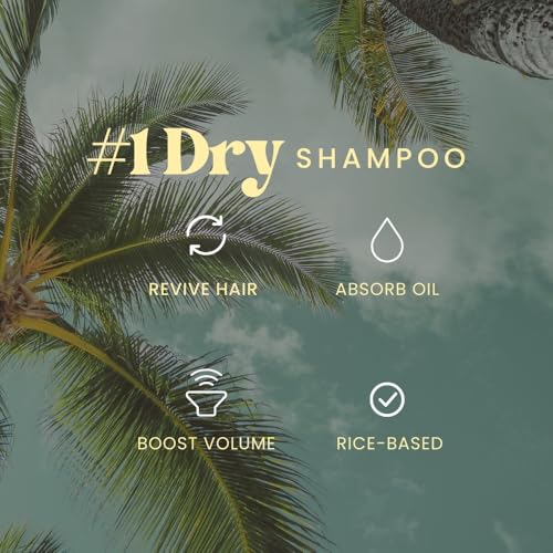 The Beachwaver Co. Second Chance Dry Shampoo - Travel Size (1.4 Oz) | Vegan Oil-Absorbing Rice Formula | Removes Oil & Moisture, Adds Volume, & Extends Style Life Between Washes | Brazilian Berry