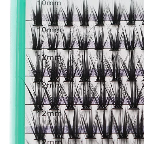 Bodermincer XXXL Tray 560pcs 40D Cluster D Curl 10-12-14-16mm Mixed Cluster DIY at Home Lashes Eyelashes Extensions (40D-D Curl-10-12-14-16mm Mixed)