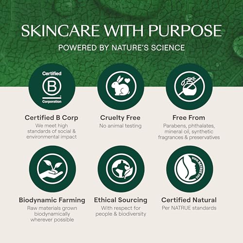Weleda - Skin Food Light Moisturizing Cream 3-pack - Fast-Absorbing, Ultra-Hydrating Formula with Sunflower Oil and Pansy Extract