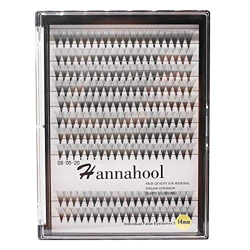 10Rows-200Pcs 20D Natural Long Individual False Eyelashes Cluster Thickness 0.07mm D Curl Volume Premade Fans Eye Lashes Extensions Soft and Lightweight Dramatic Look (10mm)