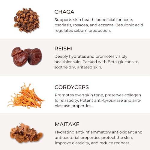Mycelium Glow Mushroom Brightening Vitamin C Face Serum Facial Moisturizer - All Skin Types Vegan Serums for Skin Care Anti Aging Cruelty-Free Hydrating Serum for Face Dark Spots 30ml