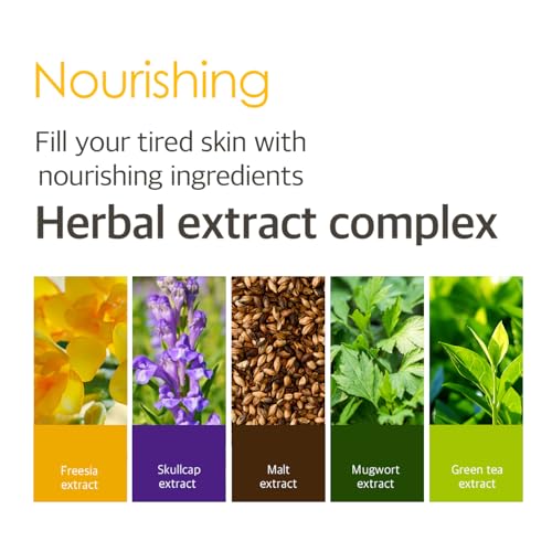 Petitfee Chamomile Brightening Hydrogel Eye Mask 60ea (30pairs) - Revitalizing Eye Patch with Chamomile, Yuzu, Pumpkin, Vitamin Tree, Brightens Under Eyes, Cooling, Moisturizing, Soothing Eye Care