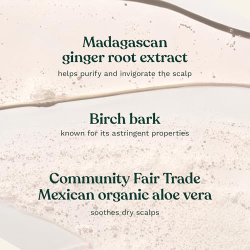 The Body Shop Ginger Scalp Care Shampoo ? For Dry, Flaky Scalp ? With Vegan Silk Protein ? 250ml