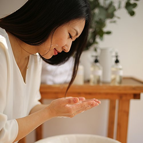 Farmaesthetics Fine Herbal Facial Cleanser (8 fl oz) | Ethically Sourced Sustainable Beauty | Clean, All Natural, Small Batch Skincare