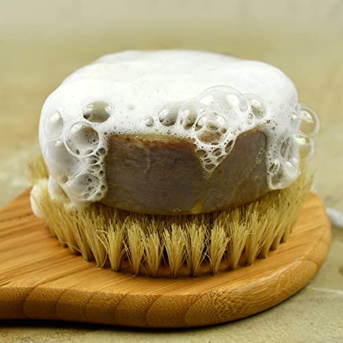 Seattle Sundries Sweet Honey & Oatmeal Soap for Women & Men - 1 (4oz) Exfoliating All-Natural Bar Soap in a Reusable Travel Tin - Highlander Theme Gift