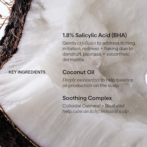 Briogeo Scalp Revival Dandruff Relief Conditioner | Charcoal + 1.8% Salicylic Acid | Daily Anti-Dandruff Conditioner for Flakes, Itch & Irritation | Color-Safe | Vegan & Cruelty Free | 8.4 oz