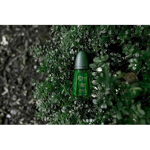 Pino Silvestre Moisturizing After Shave - Original Treatment For Post Shaving - Organic, Cooling Moisturizer Serum For The Face - Tree Scented Travel Sized Bottle - 4.2 Oz Spray