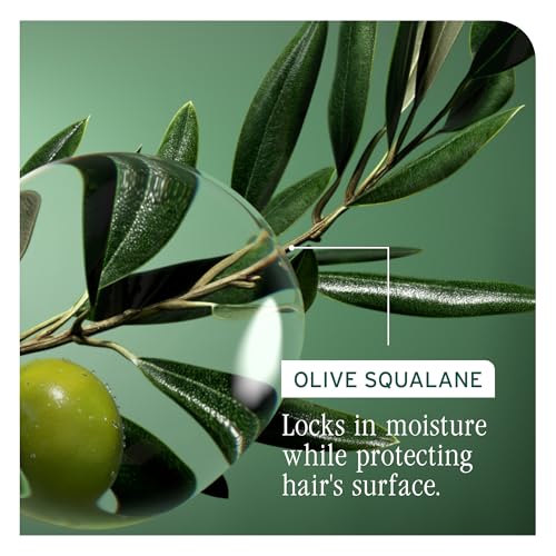Biolage Strength Recovery Shampoo - Reduces Breakage & Detangles, Instantly Strengthens and Moisturizes, For Damaged Hair, With Olive Squalane & Vegan Proteins, Paraben & Mineral Oil-Free