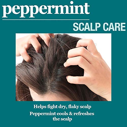 Difeel Peppermint Scalp Care Shampoo 12 oz. - Made with Natural Ingredients