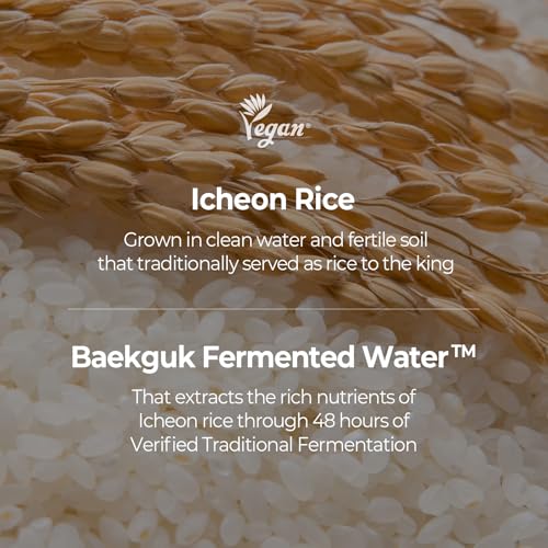 SKINFOOD Rice Daily Sheet Mask, Hydrating and Nourishing Face Mask with Rich Rice Essence, Vegan Korean Skincare for Smooth, Clear, Radiant Skin (10 EA)