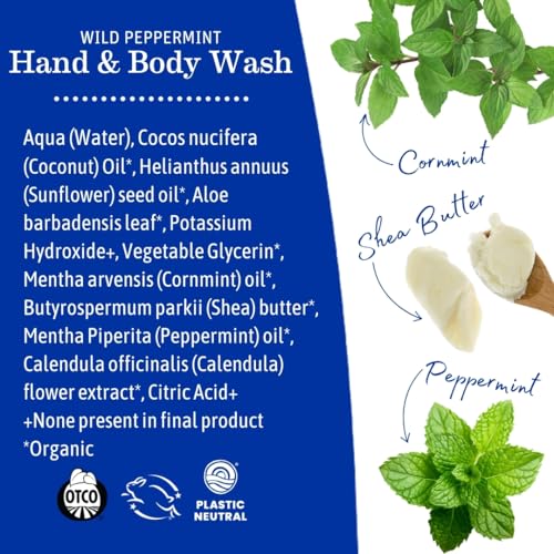 Earth Mama Wild Peppermint Hand & Body Wash | Foaming Castile Soap Liquid and Hand Soap, Made with Organic Wild Mint & Peppermint Oil, 34 fl oz (2-Pack)