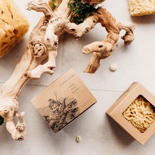 Sea Wool Sponge by Baudelaire 5.5" - Natural Sea Sponges for Bathing - Bath Sea Sponge for Shower - Natural Sea Sponge Loofah | Durable | Sustainable & Environment-Friendly Natural Sponges for Body