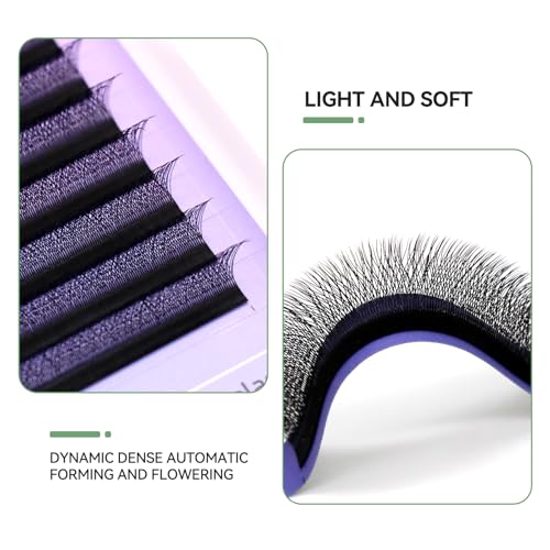 COAST GIRL YY/3D/4D/5D/6D W Shape Eyelash Extensions Premade Volume Fans 0.07mm C/D Curl 8-15mm W Lashes Volume Fans Premade False Eyelashes (3D W 0.07 D, 8-15mm Mix)