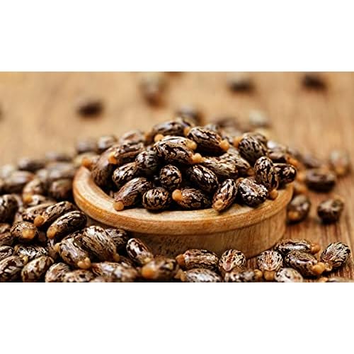 Castor Oil - Pure Refined Natural Cold Pressed Vegan Non GMO Bulk 128 oz - 1 Gallon - Bulk Wholesale Castor Oil for Hair Nails Eyelashes Eyebrows Beard Mustache - Organic Pure Oil
