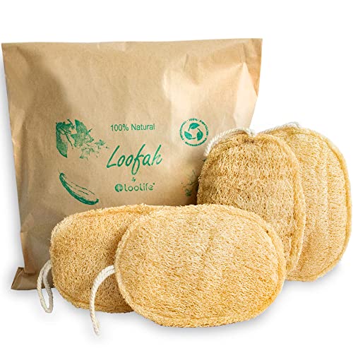 Natural Loofah Exfoliating Sponge (4 Pack) - Organic Loofah for Body - Biodegradable Shower Luffa - Natural Bath Sponges Loufa - Estropajos para el Cuerpo