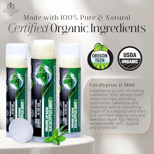 Organic Eucalyptus Mint Lip Balm 3 Pack | Hydrating Chapstick for Dry Lips | Natural Lip Care for Men and Women