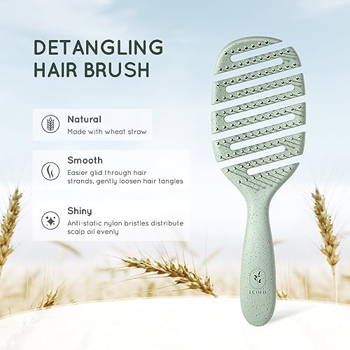 Detangler Hairbrush, Soft Bristle Detangling Brush for Straight, Wavy, Curly and Fine Hair, Dry and Wet, Quick Smoothing for Women and Men, Eco-Friendly & Sustainable Material (Green)