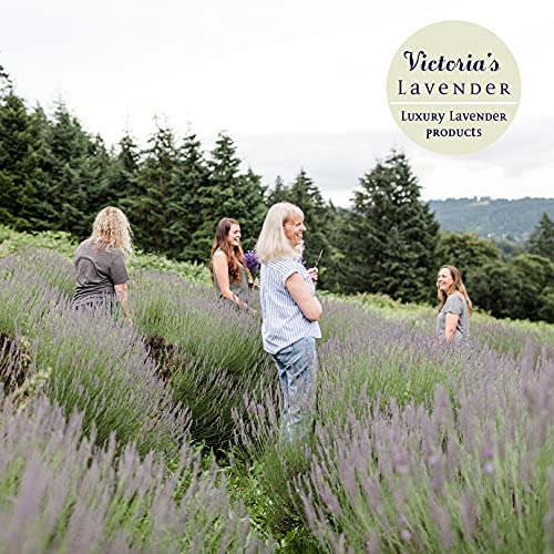 Victoria's Lavender Home Essential Products Set - Made in the USA Collection, Includes Soy Candle, Room Spray, Hand Soap, Organza Sachets, Dryer Bags, Ideal Gift Set for Home Buyers - Lavender (5 Pcs)