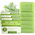 Roycederm Antifungal Bar Soap - Tea tree Oil Soap - Athlete¡¯s Foot Treatment for Jock Itch & Ringworm - Medicated Antifungal Soap with Clotrimazole 1% - Tea Tree Oil Scent, 3 Pack