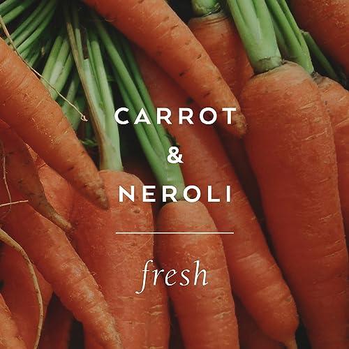 The Cottage Greenhouse Carrot & Neroli Handcreme, 4 oz, Moisturizing Lotion for Dry Hands, Quick Absorbing Shea Butter & Cocoa Butter, Luxury Purse Essentials