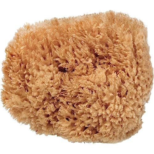 BodyCare Sea Sponge, 12.5-14cm, Premium Quality Exfoliating Sponge for The Most Sensitive and Delicate Skin. A Natural Unbleached Sponge, Sustainibly Harvested in Plastic-Free Packaging