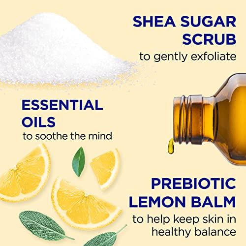 Dr Teal's Shea Sugar Scrub, Prebiotic Lemon Balm, 19 oz (Pack of 3)