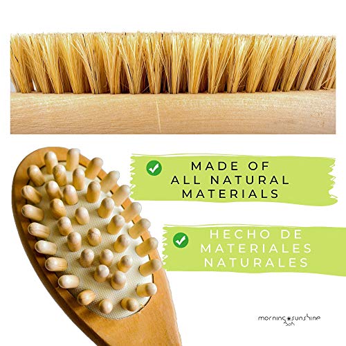 Dry Brushing Body Brush Anti Cellulite Treatment Skin Smoother Scrubber, Boar Bristles Long Handled, Thighs Buttocks Back Massager, Ayurvedic Lymphatic Drainage Tratamiento de Celulitis Anticelulitis