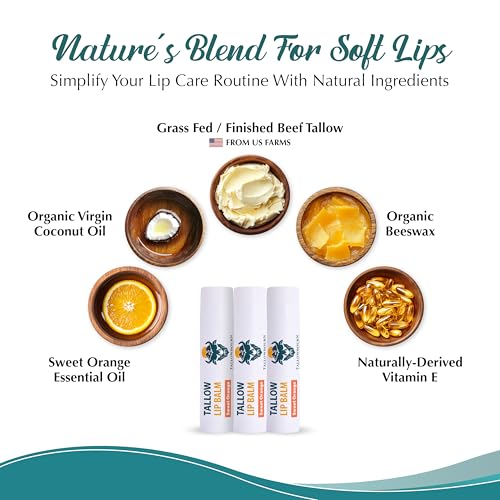 Moisturizing Tallow Lip Balm ? Grass-Fed Beef Tallow with Organic Coconut Oil, Beeswax, and Vitamin E ? Sweet Orange ? Lip Balm Set ? Travel Essential ? 3-Pack