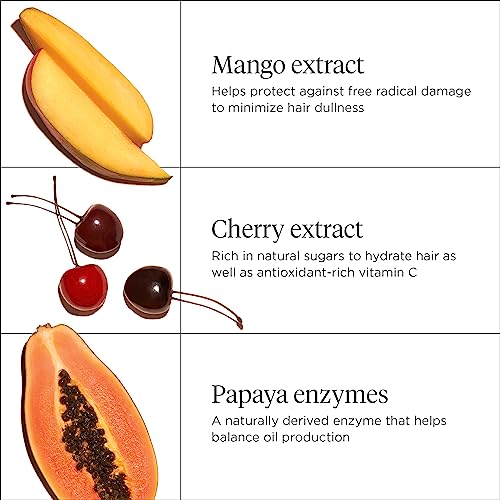 Briogeo Superfoods Mango + Cherry Balancing Conditioner, Replenish Dull, Dry Hair and Balance Oil for Oily Hair, Conditions and Nourished All Hair Types and Textures, Vegan, Cruelty-Free, 12.5 fl oz