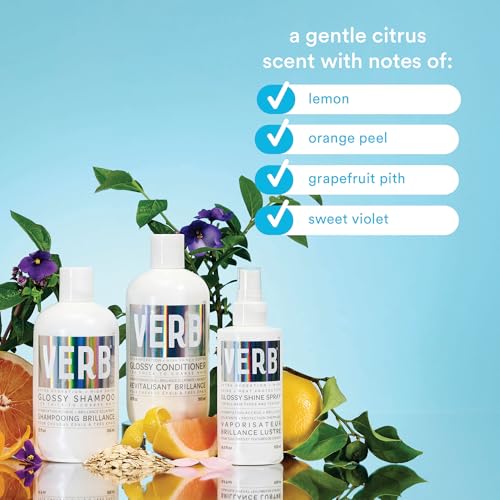 VERB Glossy Conditioner ? Conditions, Detangles + Adds High Shine for Thick to Coarse Hair ? Vegan, No Parabens or Harmful Sulfates