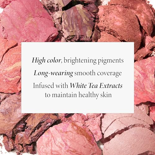LAURA GELLER Baked Blush-n-Brighten in Pink Grapefruit with Angled Blush Brush ? 2-Piece Set