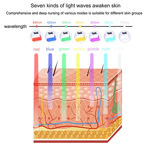 7 Color LED Face Mask LED Light Therapy Equipment for Skin Care at Home Beauty Salon Equipment