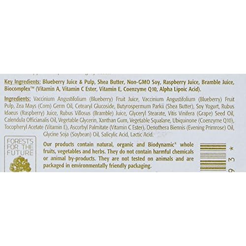 Eminence Blueberry Soy Night Recovery Cream for Unisex - 2 oz Cream