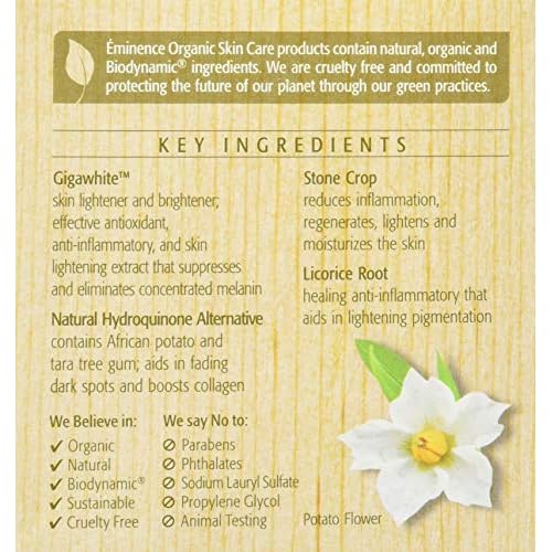 Bright Skin Masque by Eminence for Unisex - 2 oz Mask