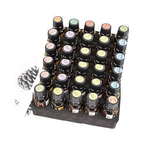 REQO Makeup Brush Organizer with Lid,Makeup Brush Holder Case Dustproof Black,Make Up Brush Bag Pouch with Cover Trave