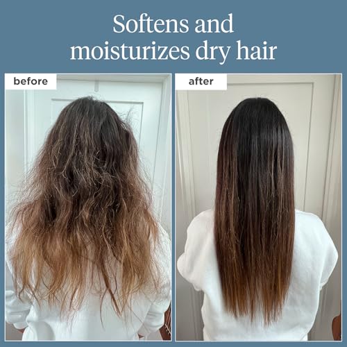 Briogeo Scalp Revival Rosemary Pre-Wash Oil | Moisturizing Scalp Treatment for Dry, Flaky, or Itchy Scalp | Strengthens Hair & Soothes Scalp | Vegan & Cruelty-Free