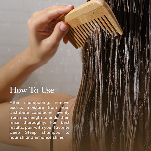Deep Steep Argan Oil Hydrating Volume Conditioner, 17 oz ? Moisturizing Conditioner with Aloe Vera, Marula Oil, Rice Protein & Glycerin ? Silicone-Free, Vegan, Clean Beauty Hair Care, Silky Hair