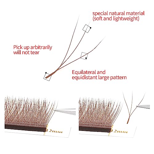W Lash Extensions Supplies Brown 3D Eyelash Extensions 3 Tip W Shape 0.07mm Thickness C/D Curl Premade Fans Individual Lashes Matte Black Crisscross(W-Brown-3D-0.07-C,8-15mm Mix)
