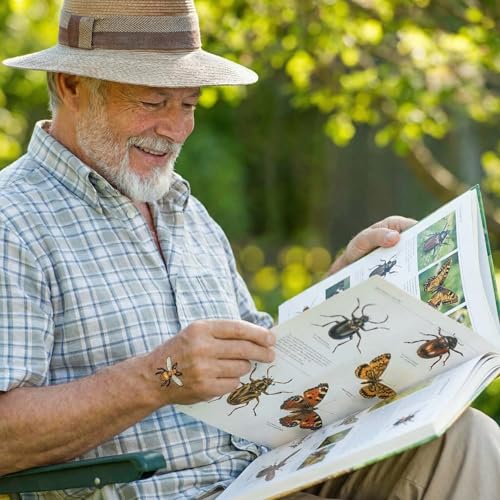 Maitys 288 Pcs Insect Tattoos Bug Temporary Tattoos Reptile Insect Bees, Spiders, Beetles, Butterflies, Arts and Crafts, Bug Party Favor Butterfly Birthday Party Supplies