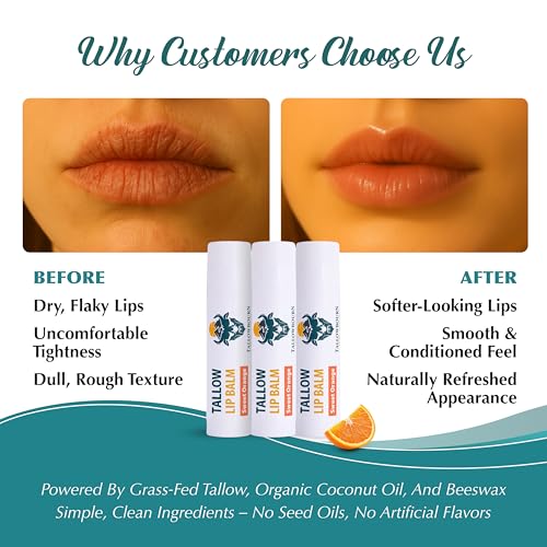 Moisturizing Tallow Lip Balm ? Grass-Fed Beef Tallow with Organic Coconut Oil, Beeswax, and Vitamin E ? Sweet Orange ? Lip Balm Set ? Travel Essential ? 3-Pack