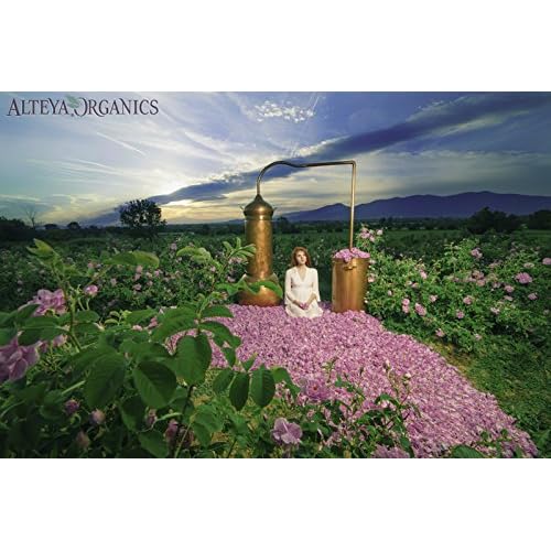 Alteya USDA Organic 3-Pack Bulgarian Rose Lip Balm - 0.52oz/15g, 3 x 0.17oz/5g each