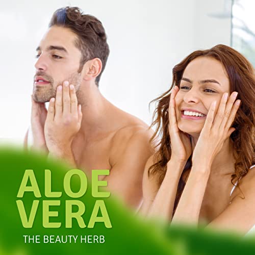 Aloe Life ? Skin Gel & Herbs Ultimate Skin Treatment, 99% Certified Organic Whole Leaf Aloe Vera, Vitamins C, A, & E, Head-to-Toe Skin Care Support for the Whole Family, Fragrance-Free (8 oz)