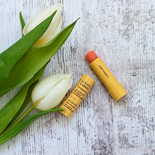 L'Erbolario Olive and Tea Tree Lip Gloss ? Soothing Lip Balm Gloss with Sweet Fruity Aroma ? Enhances Shine and Softness with Subtle Shimmer - 0.15 oz