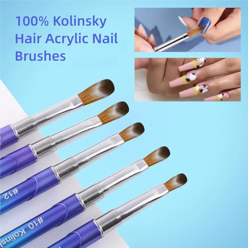 100% Pure Kolinsky Hair Acrylic Nail Art Brushes ? Oval Crimped Tip for Acrylic Powder, Gradient Blue Metal Handle, Professional Nail Art Brush for Salon & DIY (12)