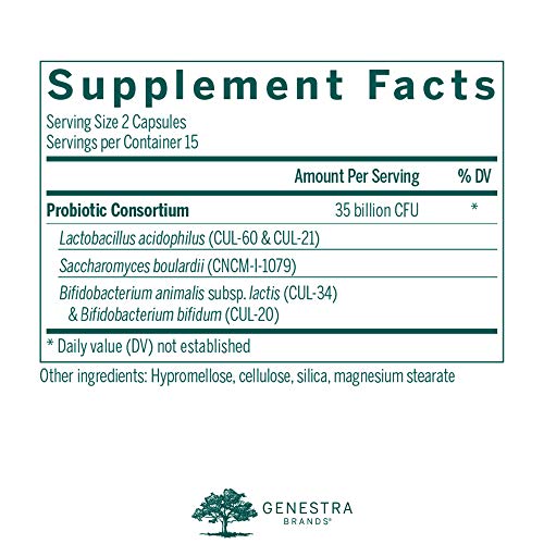 Genestra Brands - HMF Travel - Shelf Stable Probiotics to Support Gastrointestinal Health When Travelling - 30 Capsules